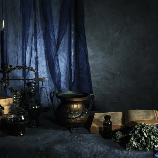 amarres de amor en near me river forest illinois botanica maestro san gregorio chicago webp