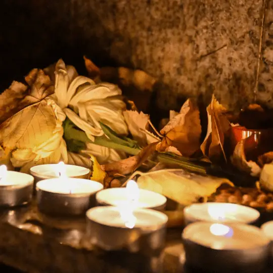 amarres de amor oak park illinois botanica maestro san gregorio chicago webp