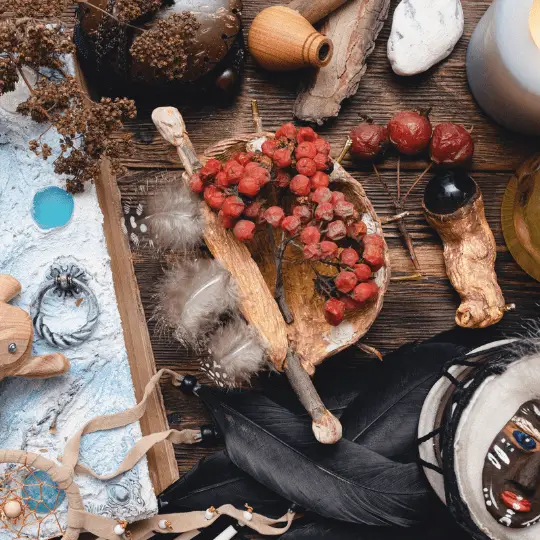 brujos en evergreen park illinois botanica maestro san gregorio chicago webp